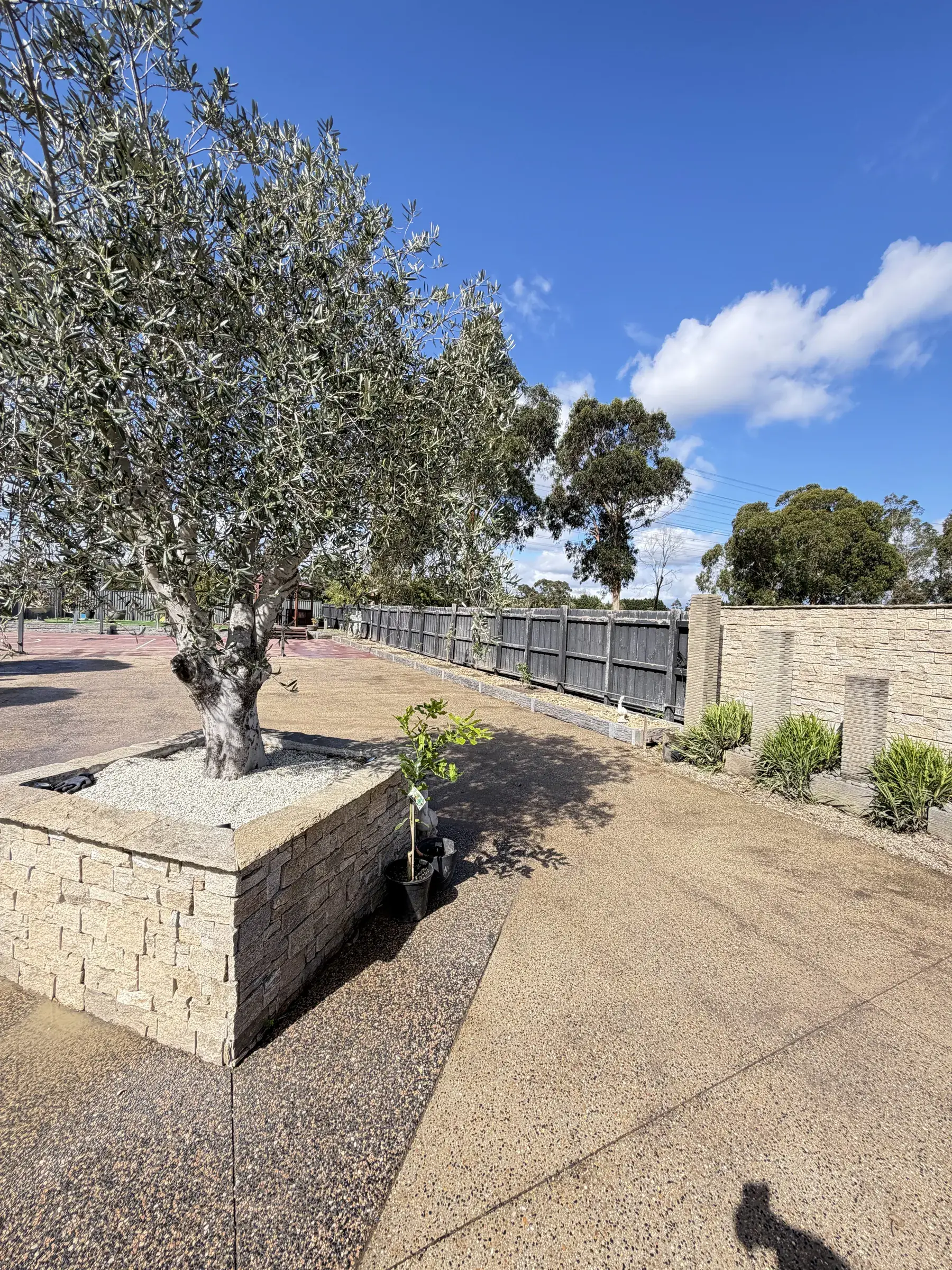 Finished retaining wall and site works by CEG